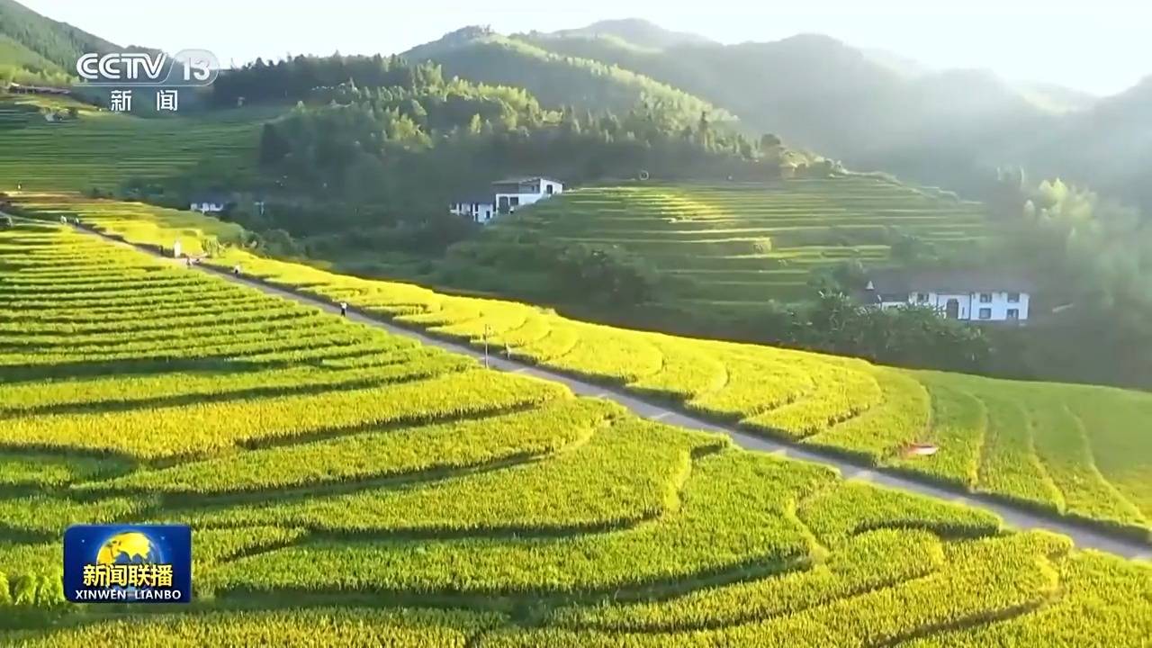 皇冠信用網会员_新思想引领新征程丨绘就乡村全面振兴壮美画卷