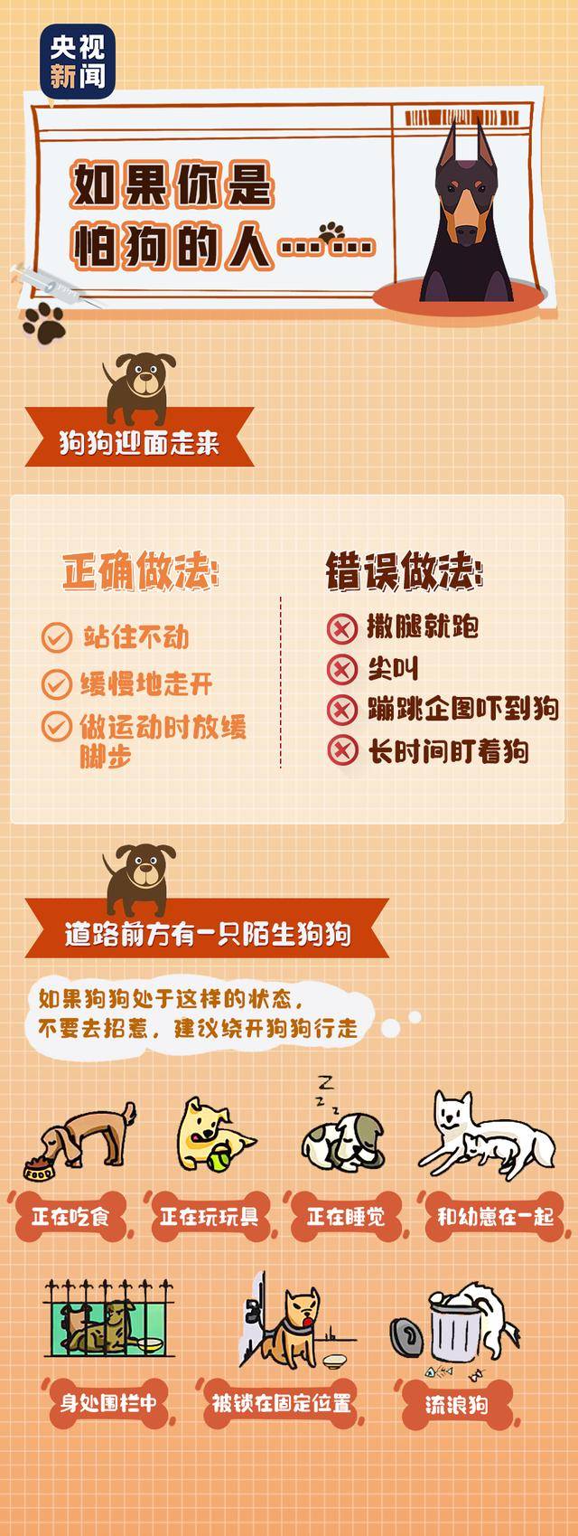 皇冠登2代理_今年起皇冠登2代理，遛狗不拴绳最重拘留10日罚1000元！