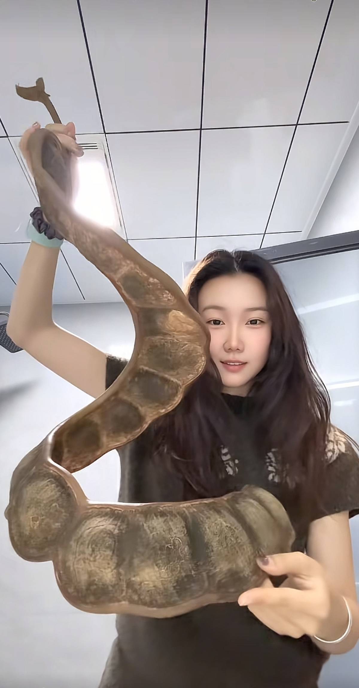 足球信用网平台 _女子带1米长巨大豆荚坐飞机回东北引围观足球信用网平台 ，本人称已跨越4000公里落地，机场客服：可随身携带